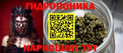 не бодяженный Шелехов