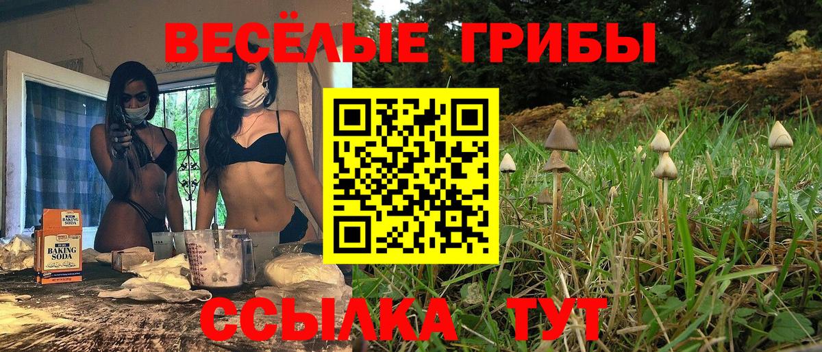 Галлюциногенные грибы мухоморы Алексин